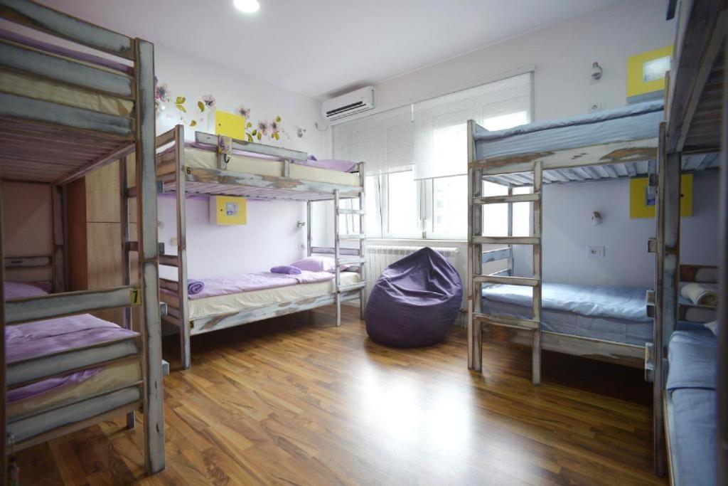 Hostel Stella Di Notte Bělehrad Exteriér fotografie