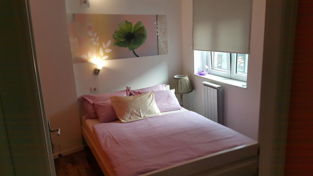 Hostel Stella Di Notte Bělehrad Exteriér fotografie